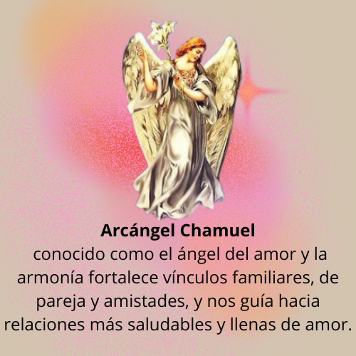 CHAMUELCV